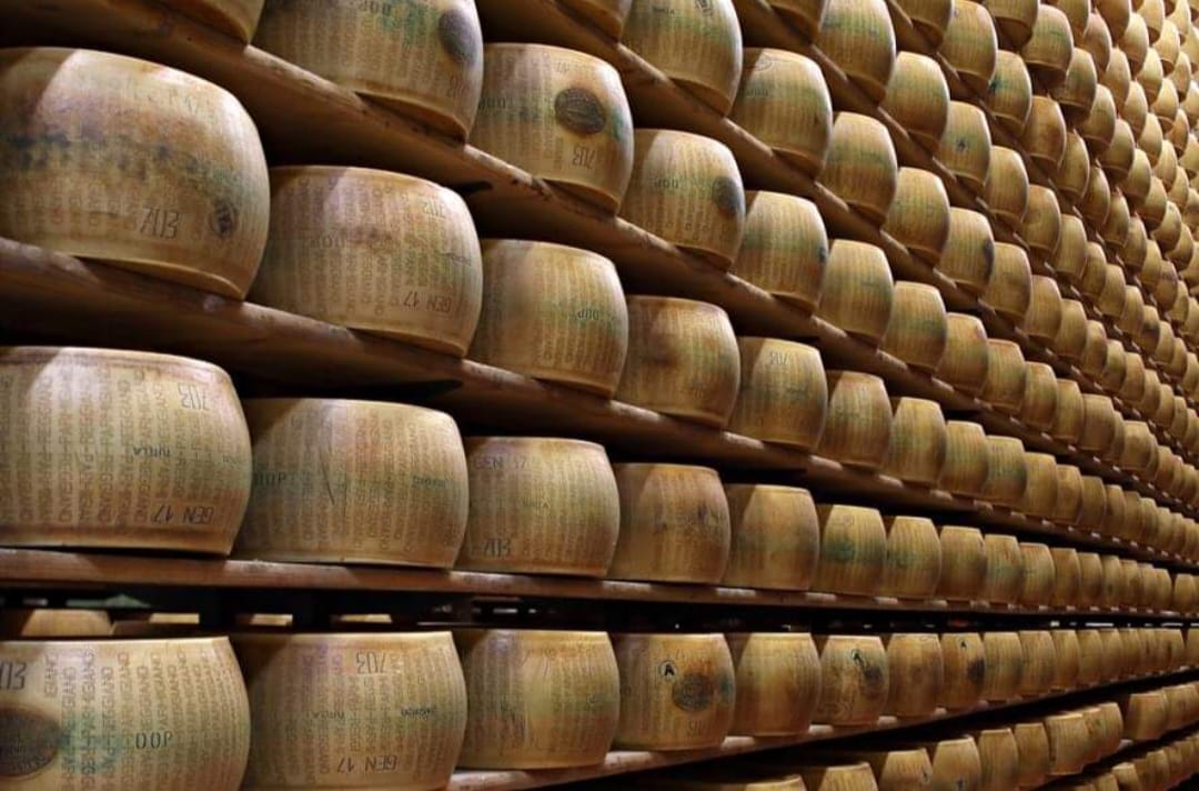 Italian Cheese aged for 30+  months